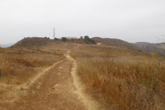 DSCN4469_resize