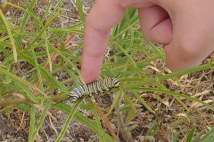 DSCN4502_resize
