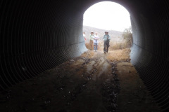 DSCN4505_resize