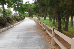 DSCN4509_resize