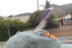 DSCN4511_resize