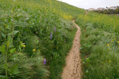 DSCN3812_resize