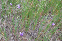 DSCN3814_resize