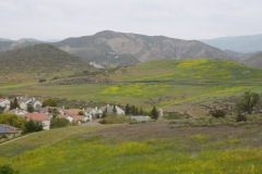 DSCN3816_resize