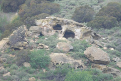 DSCN3819_resize