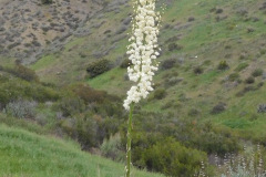 DSCN3820_resize