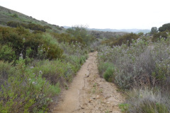 DSCN3824_resize