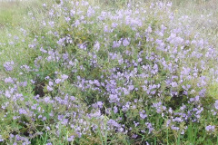DSCN3828_resize
