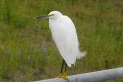 DSCN3831_resize