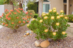 DSCN3834_resize