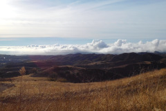 DSCN3254_resize