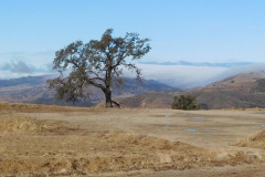 DSCN3269_resize