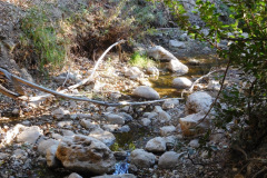 DSCN3214_resize