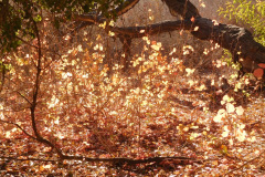 DSCN3215_resize