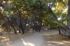 DSCN3222_resize
