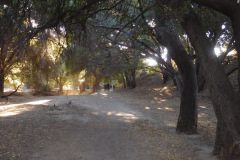 DSCN3223_resize