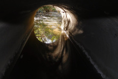 DSCN3224_resize