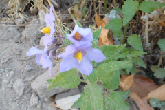 DSCN3226_resize