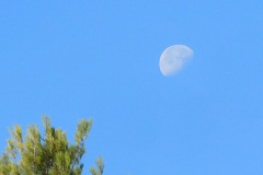 DSCN3232_resize