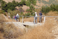 DSCN3239_resize
