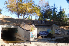 DSCN3242_resize