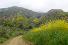 DSCN3942_resize