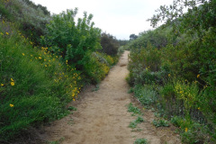 DSCN3945_resize
