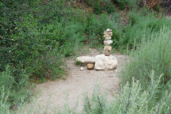 DSCN3949_resize