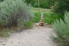 DSCN3950_resize