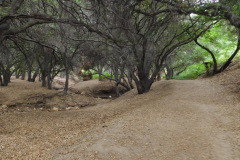 DSCN3954_resize