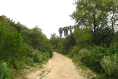DSCN3957_resize