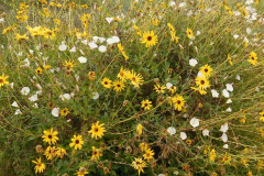 DSCN3965_resize