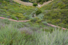 DSCN3966_resize