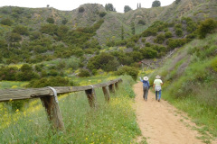DSCN3978_resize