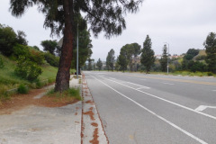 DSCN3983_resize