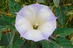 DSCN3993_resize