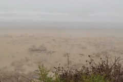 DSCN2859_resize