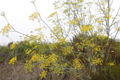 DSCN2863_resize