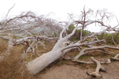 DSCN2877_resize
