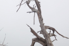 DSCN2893_resize