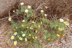 DSCN2896_resize