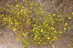 DSCN2899_resize
