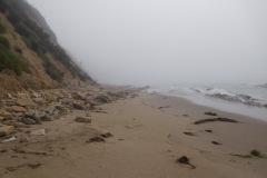 DSCN2902_resize
