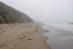 DSCN2905_resize