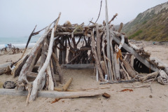 DSCN2914_resize
