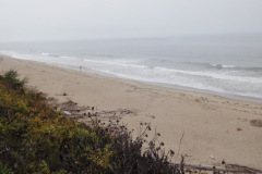 DSCN2915_resize