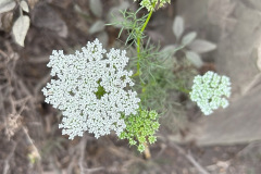 IMG_1366_resize