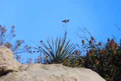 DSCN3145_resize