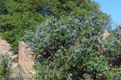DSCN3720_resize