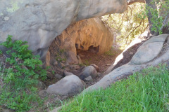 DSCN3726_resize